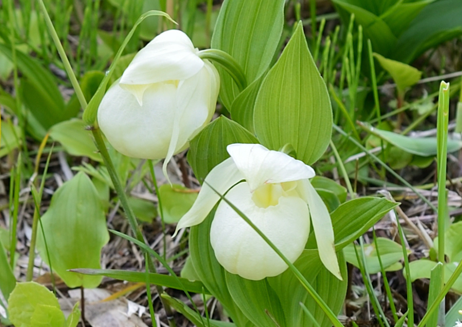 DF1_3118_NX.jpg