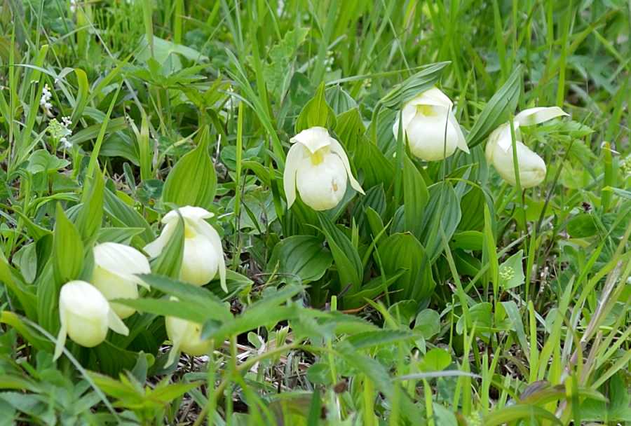DF1_3118_NX.jpg